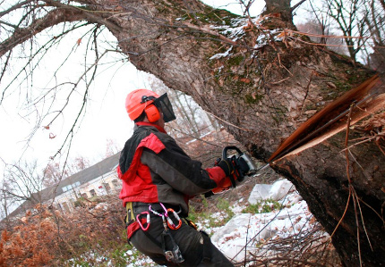 Спил дерева, используя естественный наклон
