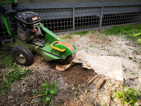 Удаление пней